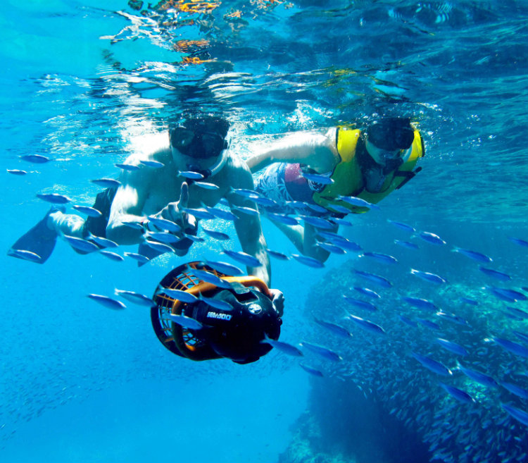 Snorkeling - Grand Velas Los Cabos
